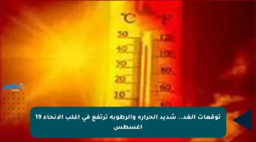 توقعات الغد.. شديد الحرارة والرطوبة ترتفع في أغلب الأنحاء 19 أغسطس